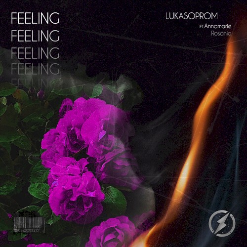Feeling