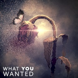 What You Wanted