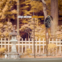 Golden Leaves