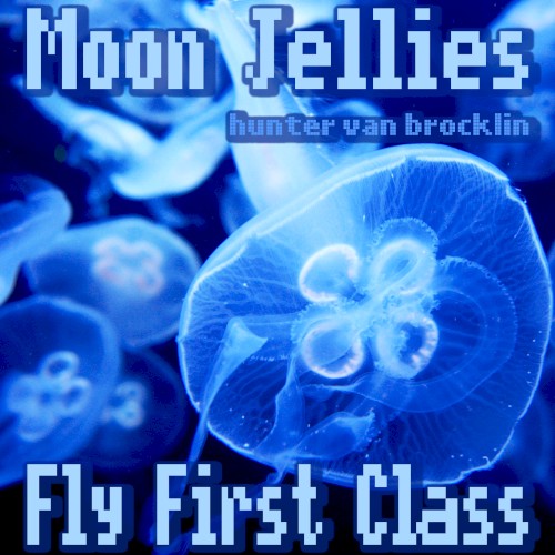 Moon Jellies Fly First Class