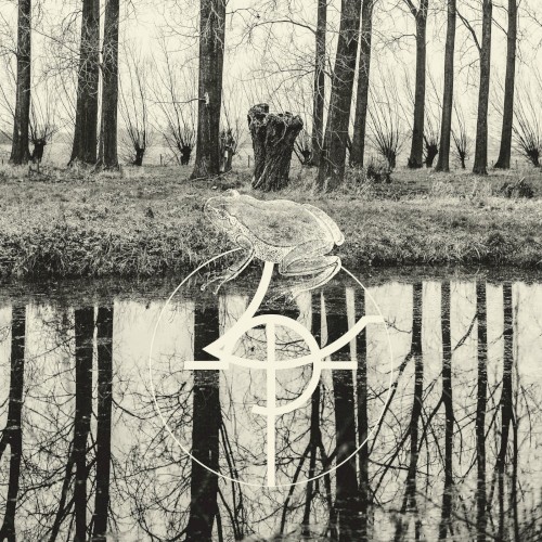 Zop