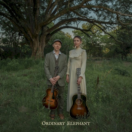 Ordinary Elephant