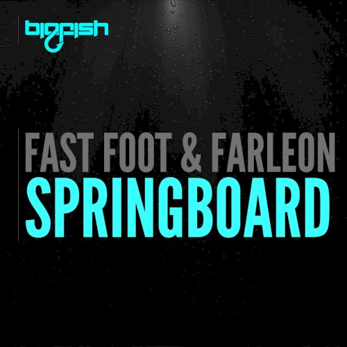Springboard