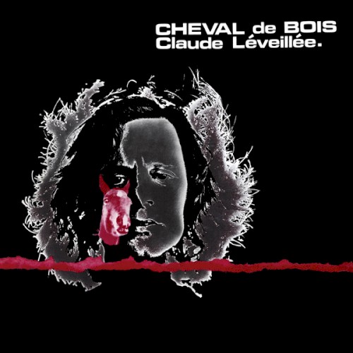 Cheval de bois