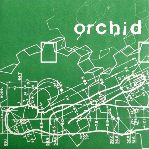 Orchid