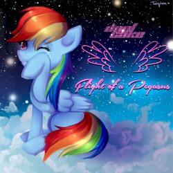 Flight of a Pegasus