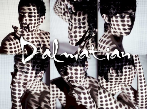 Dalmatian