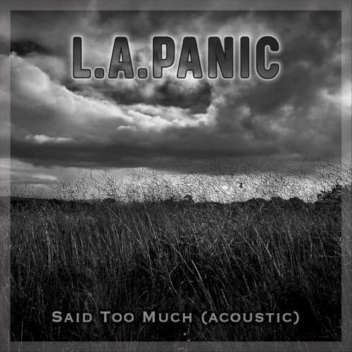 Said Too Much (acoustic)
