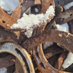 ecodrones: horses (& ice)