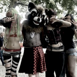 flash mob