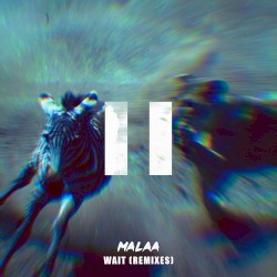 WAIT (Remixes)