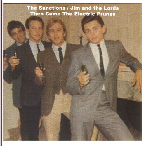 Then Came The Electric Prunes