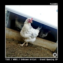 The Grand Opening EP