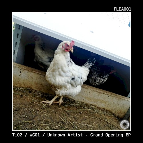 The Grand Opening EP