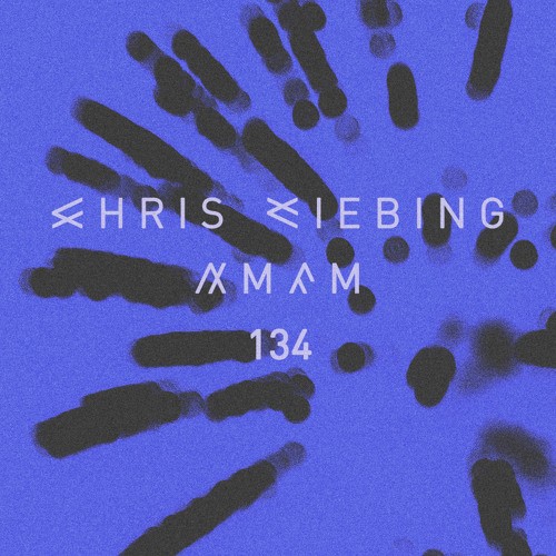 AM/FM 134