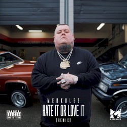 Hate It or Love It (Remix)