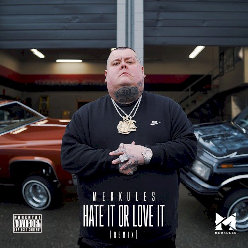 Hate It or Love It (Remix)