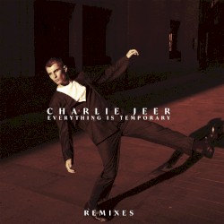 Everything Is Temporary (Remixes)
