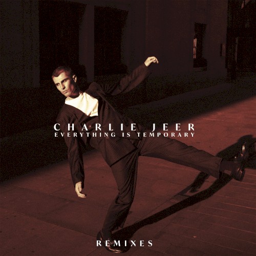 Everything Is Temporary (Remixes)