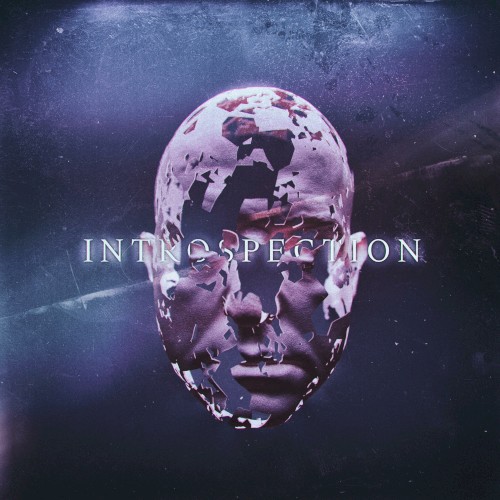 Introspection