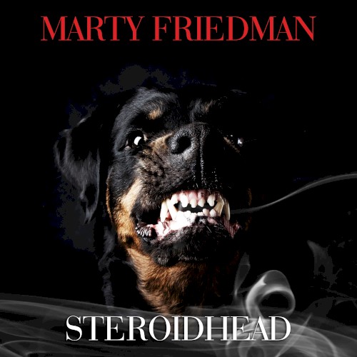 Steroidhead