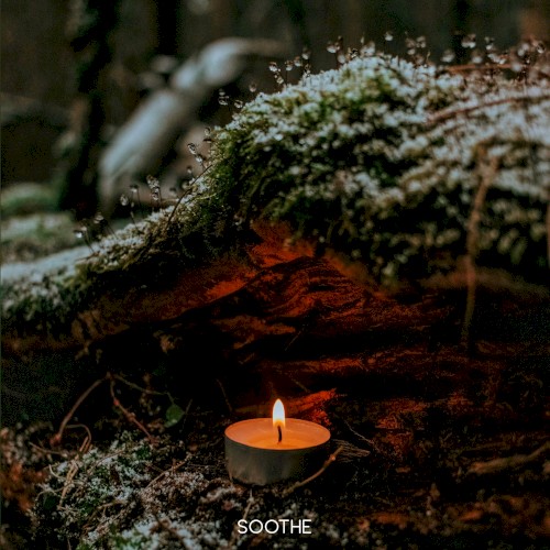 Make a Wish