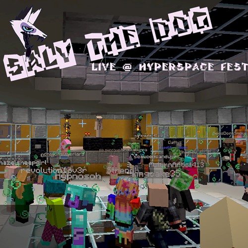 salv the dog LIVE @ HYPERSPACE FEST