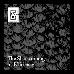 The Shortcomings of Efficiency
