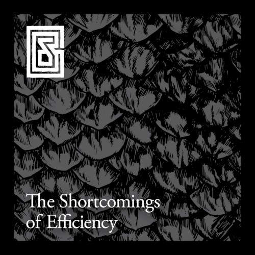 The Shortcomings of Efficiency