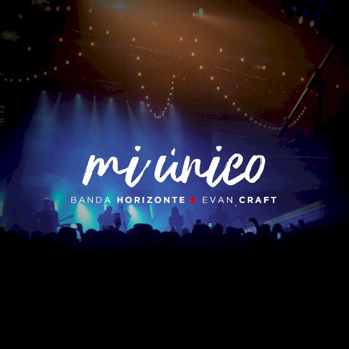 Mi único