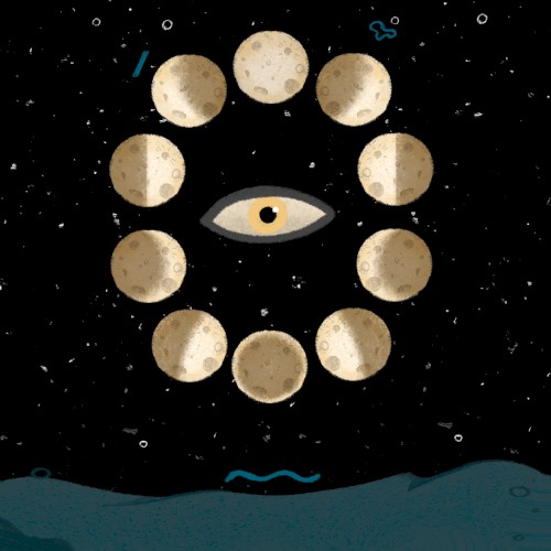 Moon Shades