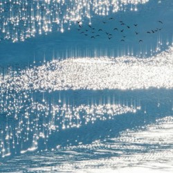 Himmelblau
