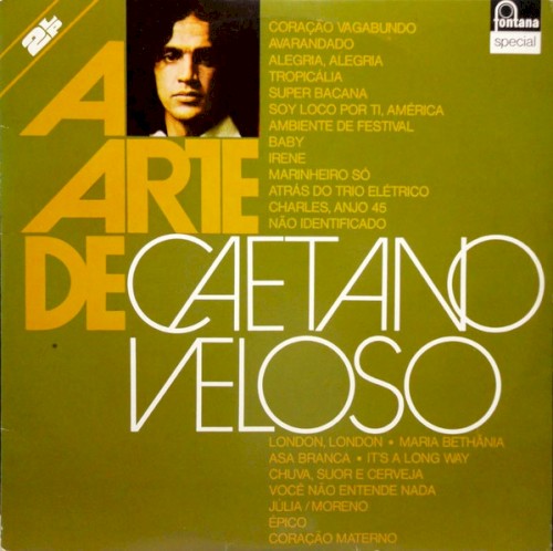 A arte de Caetano Veloso