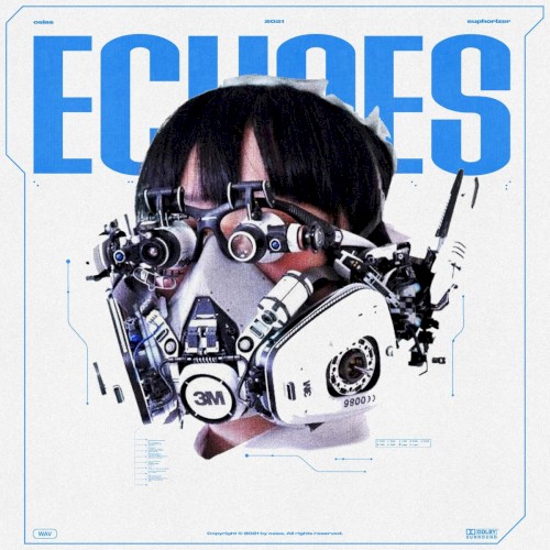 ECHOES