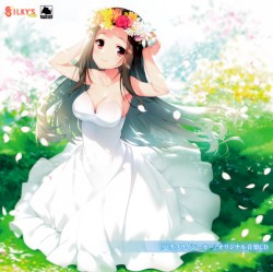 「バタフライシーカー」オリジナル音楽CD