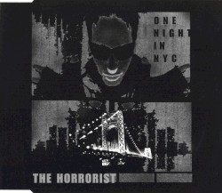 One Night in NYC