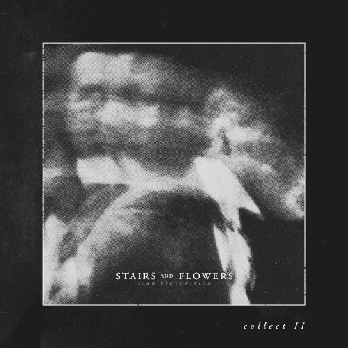 Slow Recognition (Collect II)