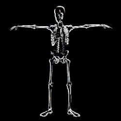 SKELETON DANCE