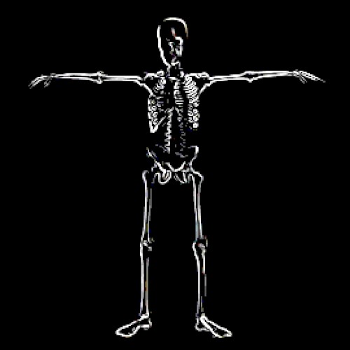SKELETON DANCE