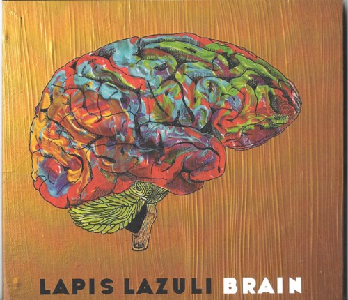 Brain