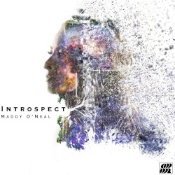 Introspect