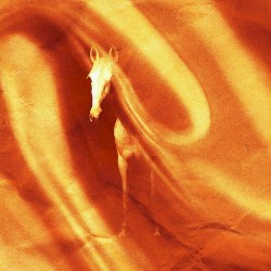A Horse Made of Caramel