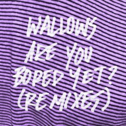 Are You Bored Yet? (remixes)