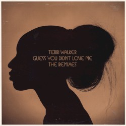 Guess You Didn't Love Me (The Remixes)