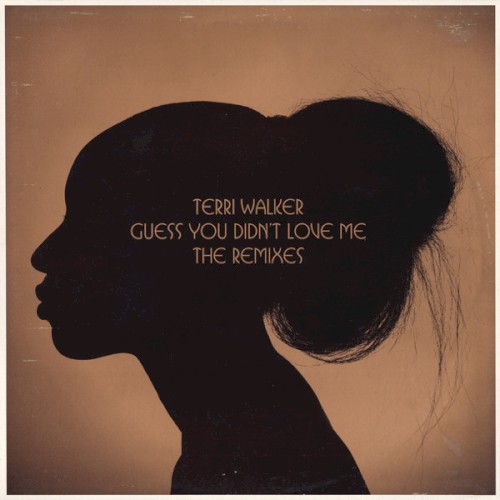 Guess You Didn't Love Me (The Remixes)