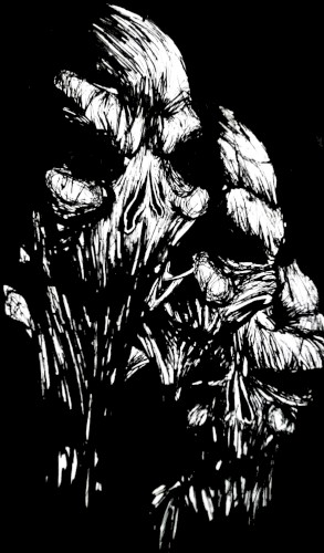 The Silent Echoes of the Confinement
