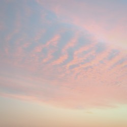 Hayama Ambient 029