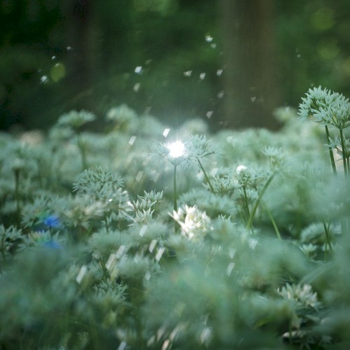 Sound Journal I