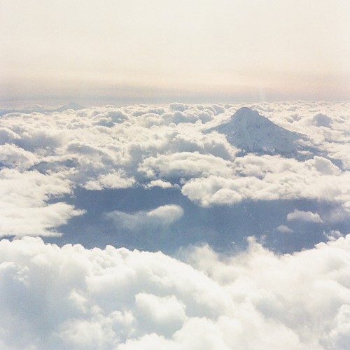I’d Love to Fly