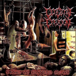 Smashed and Splattered Organs